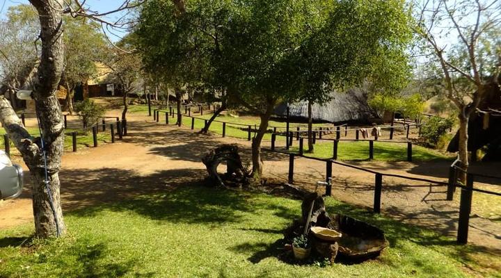 Dimbangombe Safari Lodge