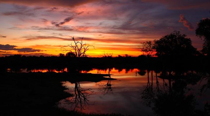 Motswari Private Game Reserve