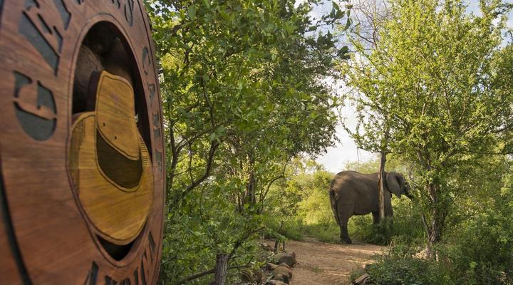 Motswari – Geiger’s Camp