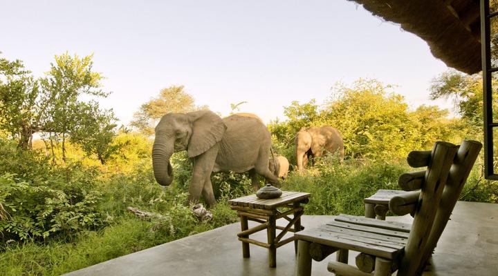 Motswari – Geiger’s Camp