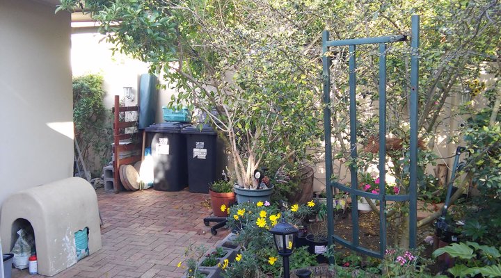Tritonia Cottage
