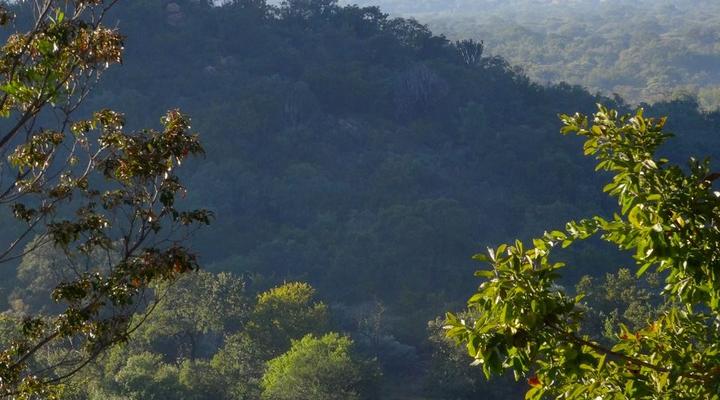 Thabaphaswa Mountain Sanctuary