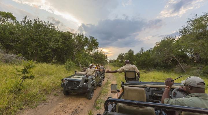 Thornybush Game Lodge