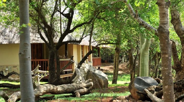 Thornybush Waterside-Lodge