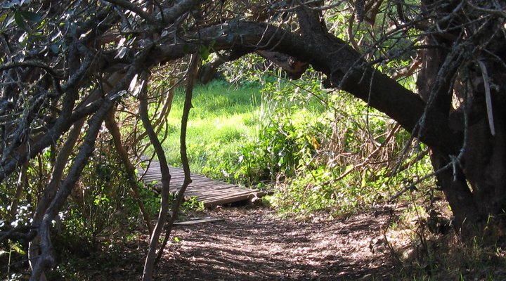 B's Cottage- Stanford