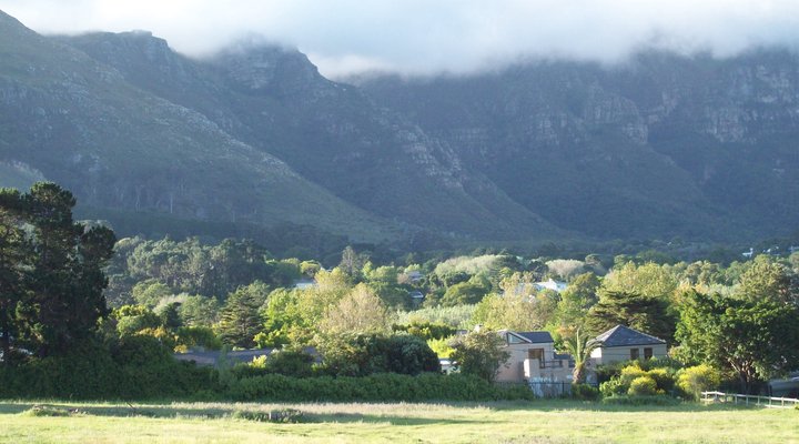 Cape Constantia
