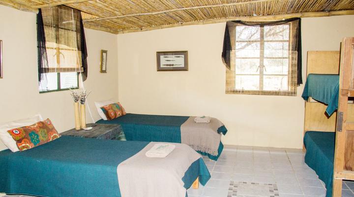 Bucklands Guest Farm