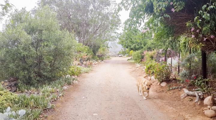 Bucklands Guest Farm