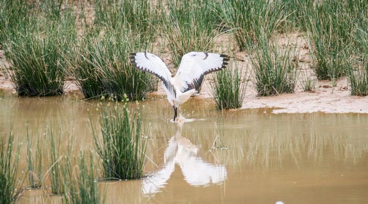 Bucklands Guest Farm