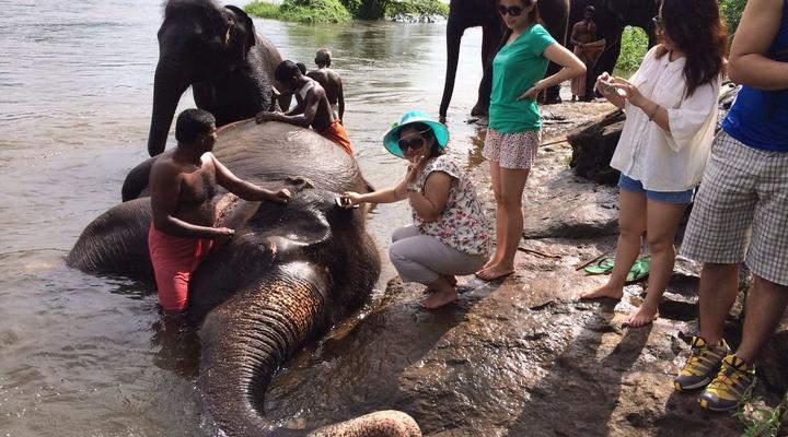 Hotel Dewland Cochin