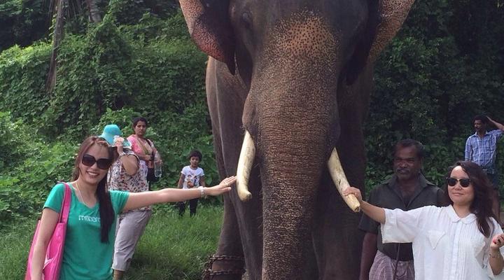 Hotel Dewland Cochin