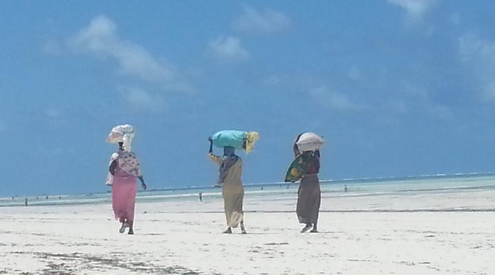 ZanZest Beach Bungalows