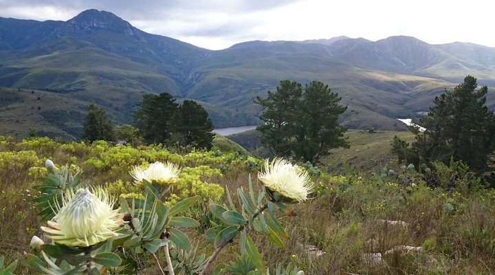 Akasha Mountain Retreat 