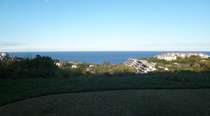 45 Tamboti