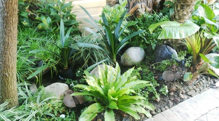 Dai Heka Guest House