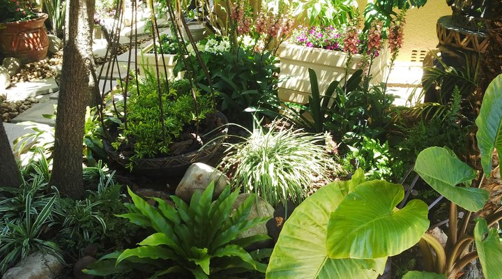 Dai Heka Guest House