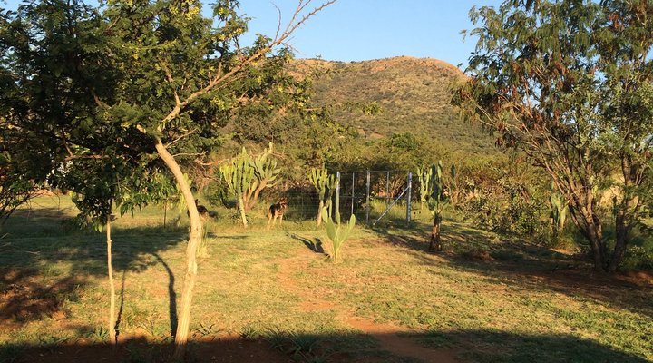Mountain View Cottage 