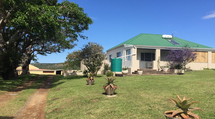 Lone Tree Guest Farm