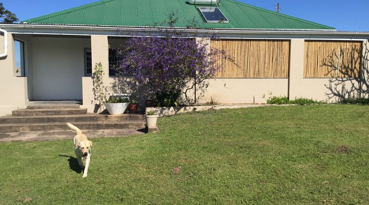 Lone Tree Guest Farm