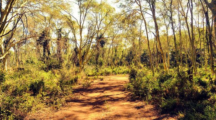 Dumela Wilderness Safaris