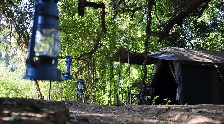 Dumela Wilderness Safaris