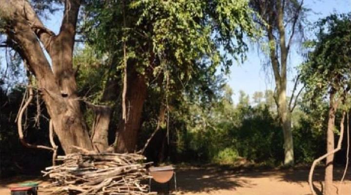 Dumela Wilderness Safaris