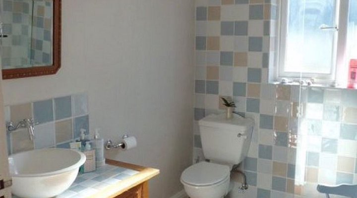 Seagull Mini Suite