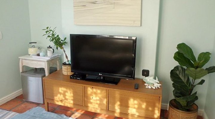 Seagull Mini Suite