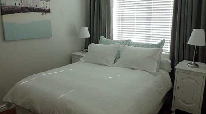 Seagull Mini Suite