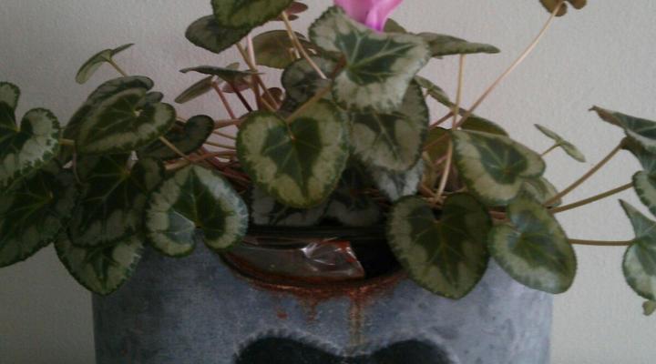 Church Road Self-catering