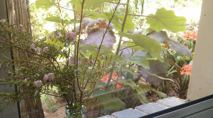 Church Road Self-catering