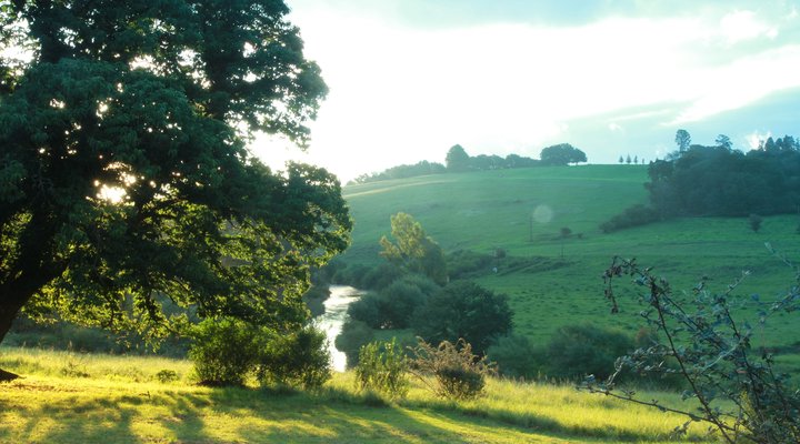 Shonalanga Cottages