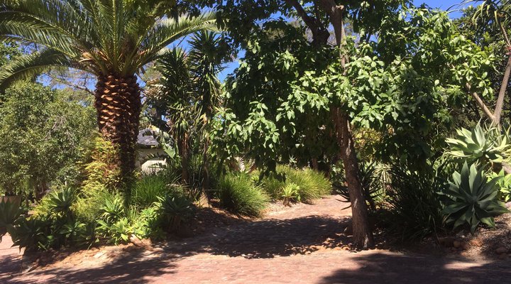 Courtyard Cottage at Ibis House
