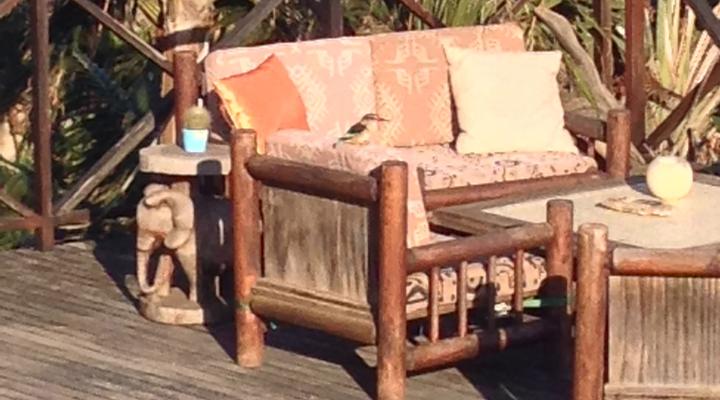 Sensayuma Backpackers