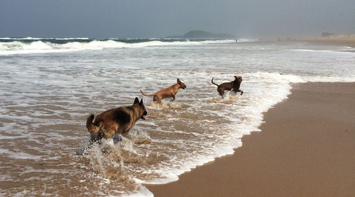 St Lucia Endless Summer