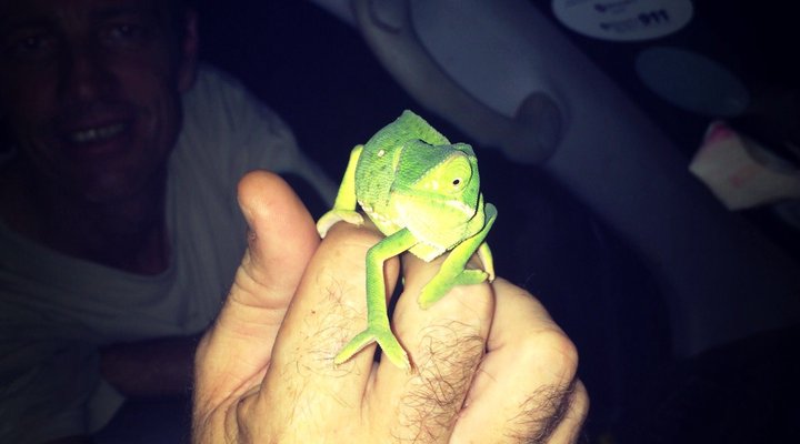 St Lucia Endless Summer