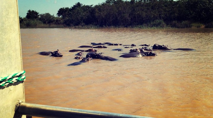 St Lucia Endless Summer