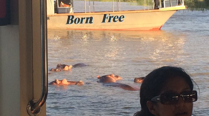 St Lucia Endless Summer