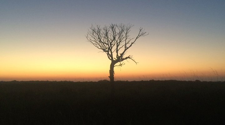 St Lucia Endless Summer