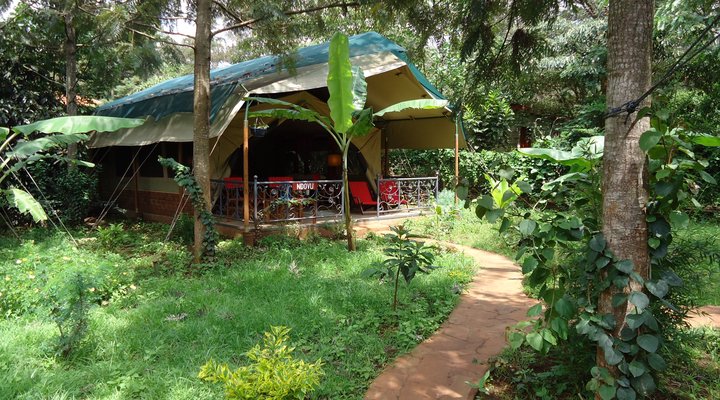 Anga Afrika Luxury Tented Camp