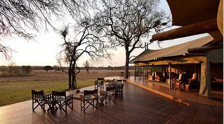 Plains Camp - Rhino Walking Safaris