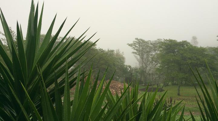 A Stone's Throw Bed & Breakfast