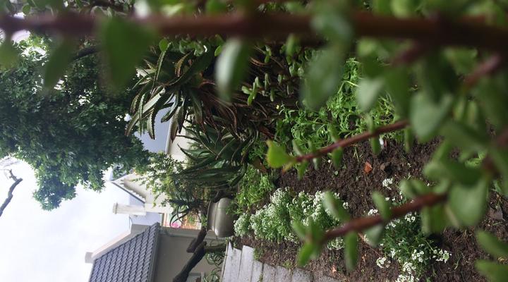 30 on Oatlands Road Accommodation