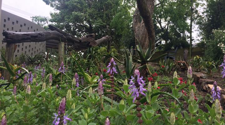 30 on Oatlands Road Accommodation