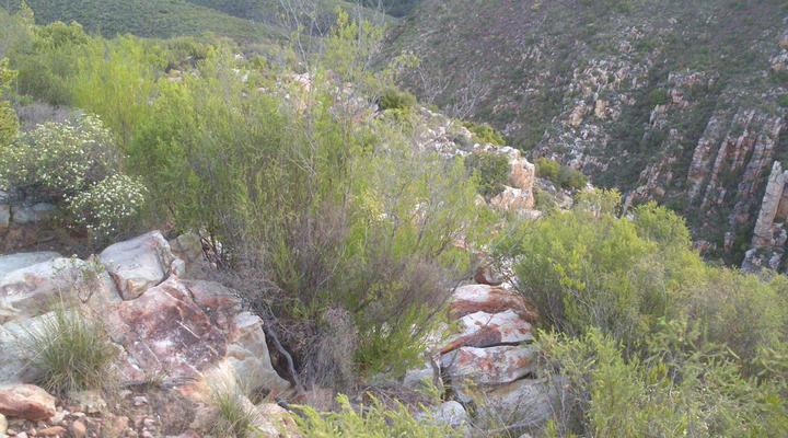 @R62 Langklip Estate