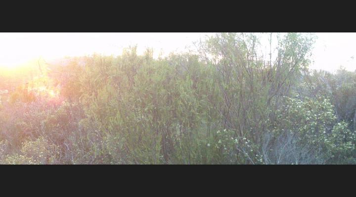 @R62 Langklip Estate