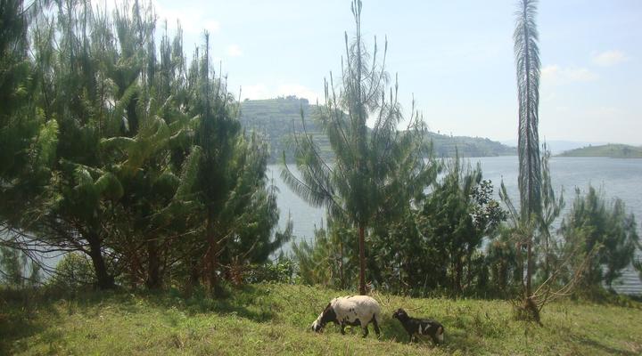 Bright Island Uganda