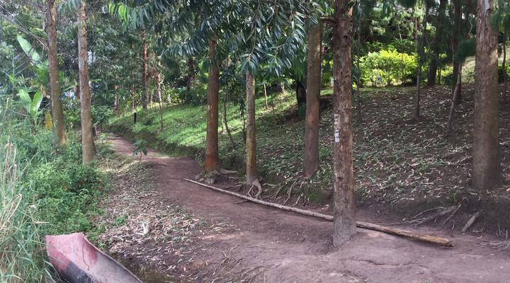 Bright Island Uganda