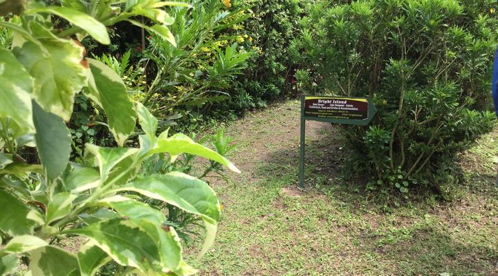 Bright Island Uganda