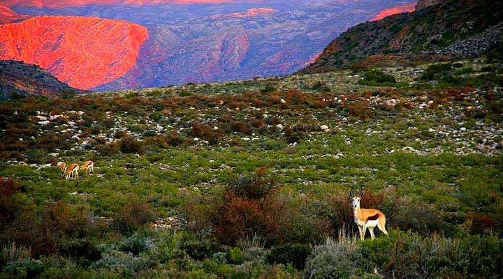 Oudekloof Guest House